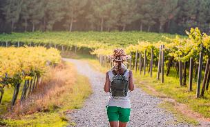 В Госдуму внесли законопроект о винном туризме