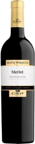 Вино Merlot, Mastri Vernacoli, DOC, 2021, 0.75 л