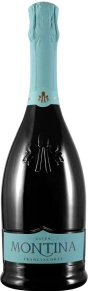 Игристое вино Saten Franciacorta, Montina, DOCG, 2023, 0.75 л