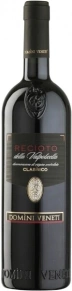 Вино Recioto Della Valpolicella Classico, Domini Veneti, DOC, 2009, 0.75 л