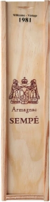 Арманьяк Millesime, Вьей Арманьяк, 0.5 л (п/у)