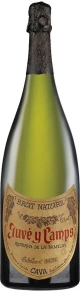 Игристое вино Reserva de la Familia, Juve y Camps, 2013, 3 л