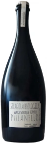 Игристое вино Spergola Biologica Ancestrale Bianco, Puianello, 2019, 0.75 л