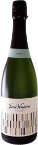 Игристое вино Brut, Reserva de la Musica, DO, 2008, 0.75 л