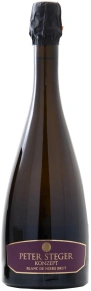 Игристое вино Peter Steger Blanc de Noirs Brut, Konzept, 2016, 0.75 л