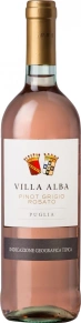 Вино Pinot Grigio Rosato, Villa Alba, IGT, 2015, 0.75 л