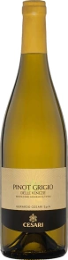 Вино Pinot Grigio delle Venezie, Gerardo Cesari, IGT, 2021, 0.75 л